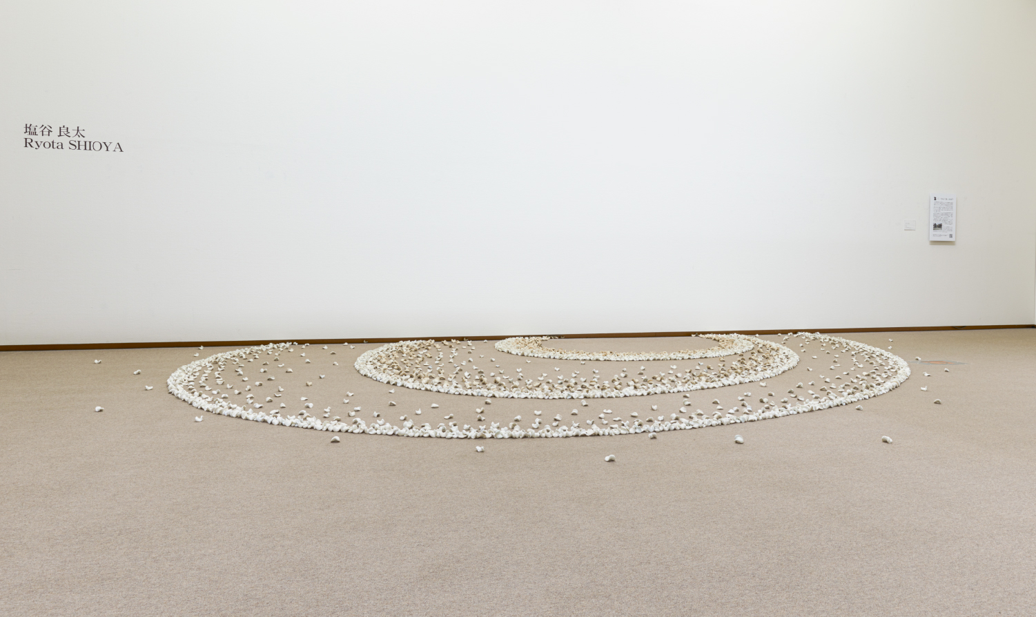 Installation view @ 6つの個展 2020